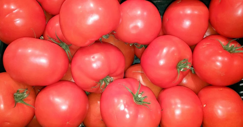 Construire des repas complets sans gluten autour de l’entraînement