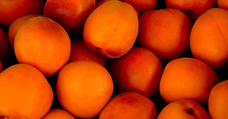 L'équilibre entre sucres naturels et fibres