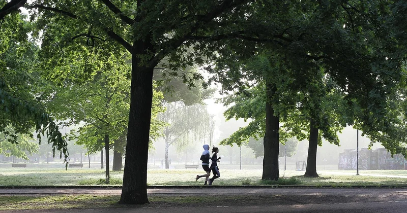 Le recrutement de joueurs facilité par les plateformes de mise en relation